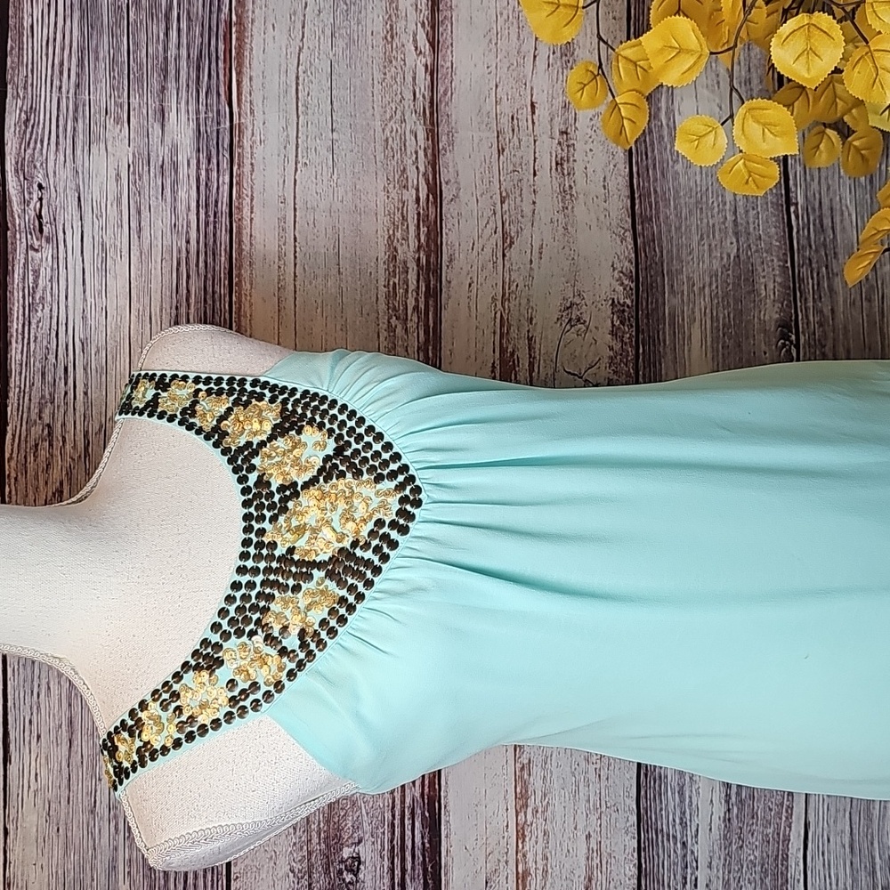 NWT THEME MINT GREEN LINED SLEEVELESS SEQUENED ZIP-UP DRESS